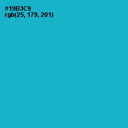 #19B3C9 - Cerulean Color Image