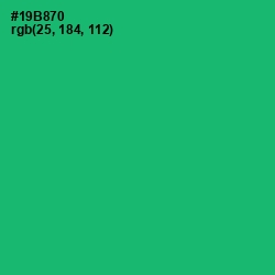 #19B870 - Jade Color Image