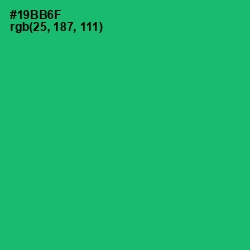 #19BB6F - Jade Color Image