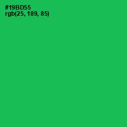 #19BD55 - Jade Color Image