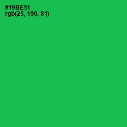 #19BE51 - Jade Color Image