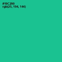#19C290 - Caribbean Green Color Image