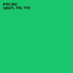 #19C66E - Malachite Color Image