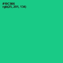 #19C986 - Caribbean Green Color Image