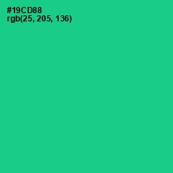 #19CD88 - Caribbean Green Color Image