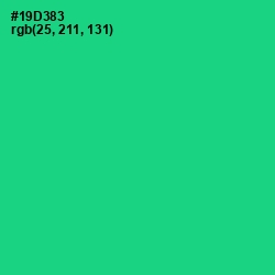 #19D383 - Caribbean Green Color Image