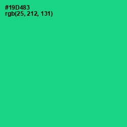 #19D483 - Caribbean Green Color Image