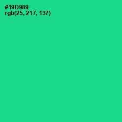 #19D989 - Caribbean Green Color Image