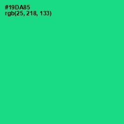 #19DA85 - Caribbean Green Color Image
