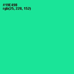 #19E498 - Caribbean Green Color Image