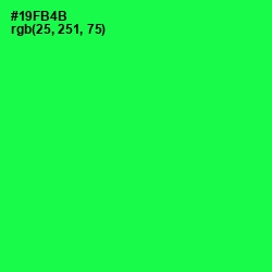 #19FB4B - Malachite Color Image