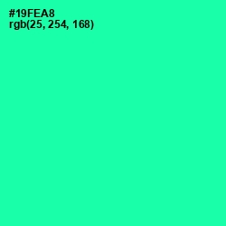 #19FEA8 - Caribbean Green Color Image