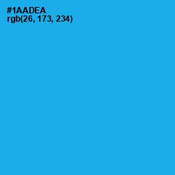 #1AADEA - Cerulean Color Image