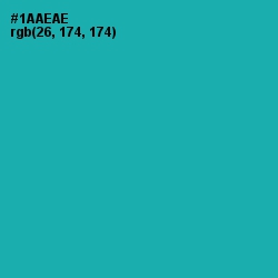 #1AAEAE - Eastern Blue Color Image