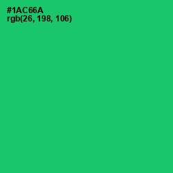 #1AC66A - Malachite Color Image