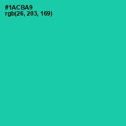 #1ACBA9 - Shamrock Color Image