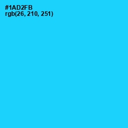 #1AD2FB - Bright Turquoise Color Image