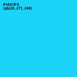 #1AD3F6 - Bright Turquoise Color Image