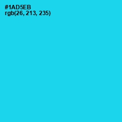 #1AD5EB - Bright Turquoise Color Image