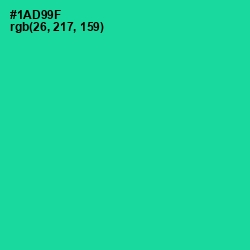 #1AD99F - Caribbean Green Color Image