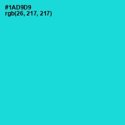 #1AD9D9 - Robin's Egg Blue Color Image