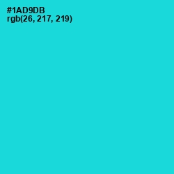 #1AD9DB - Robin's Egg Blue Color Image