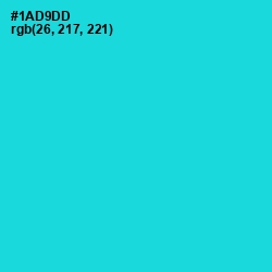 #1AD9DD - Robin's Egg Blue Color Image