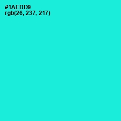 #1AEDD9 - Bright Turquoise Color Image