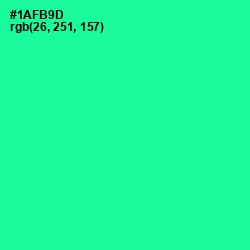 #1AFB9D - Shamrock Color Image