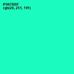 #1AFBBF - Shamrock Color Image