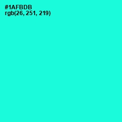 #1AFBDB - Bright Turquoise Color Image