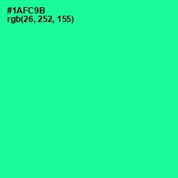 #1AFC9B - Shamrock Color Image