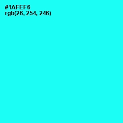 #1AFEF6 - Cyan / Aqua Color Image