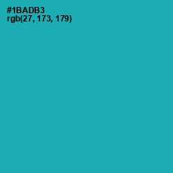 #1BADB3 - Eastern Blue Color Image