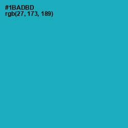 #1BADBD - Eastern Blue Color Image