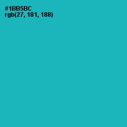 #1BB5BC - Eastern Blue Color Image