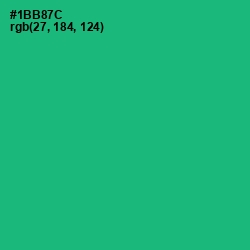 #1BB87C - Jade Color Image