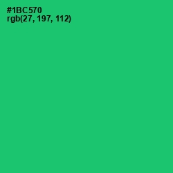 #1BC570 - Malachite Color Image