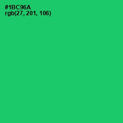 #1BC96A - Malachite Color Image
