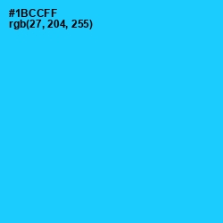 #1BCCFF - Bright Turquoise Color Image