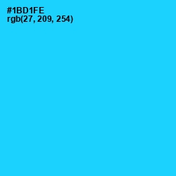 #1BD1FE - Bright Turquoise Color Image