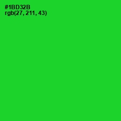 #1BD32B - Green Color Image