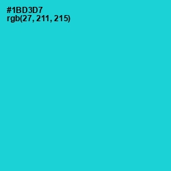 #1BD3D7 - Java Color Image