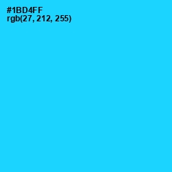 #1BD4FF - Bright Turquoise Color Image