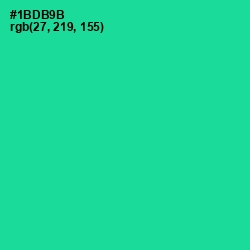 #1BDB9B - Caribbean Green Color Image