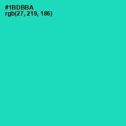 #1BDBBA - Shamrock Color Image