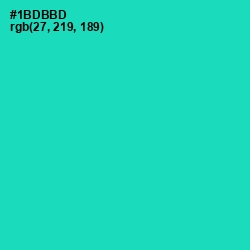 #1BDBBD - Shamrock Color Image