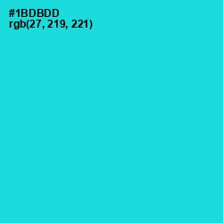 #1BDBDD - Robin's Egg Blue Color Image