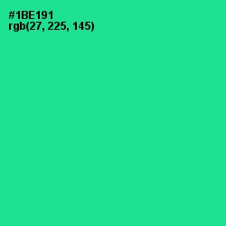 #1BE191 - Shamrock Color Image