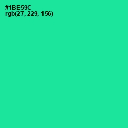 #1BE59C - Shamrock Color Image